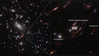 A frame split horizontally down the middle. At left is a galaxy cluster and background galaxies, showing thousands of overlapping objects at various distances. The background is black. The galaxies’ colors vary, including white, pink, orange, and blue. Most galaxies appear as ovals or dots. Just above center is a bright white oversized oval, a supergiant elliptical galaxy. Around it are many thin, long orange or pink arcs. These are background galaxies that appear stretched and distorted. To the bottom right is the outline of a small box. On the right side is a zoomed in view of this area. There are two smaller circular outlines flanking a larger central oval outline, labeled Firefly Sparkle galaxy. Within it is a long line, pointing from bottom left to top right with 10 circular star clusters in pink, purple, and blue. The circled galaxy to the bottom left is labeled Companion 1 and looks like a bright red dot. At top right, the circled galaxy labeled Companion 2 is lighter red and surrounded by a red disk.